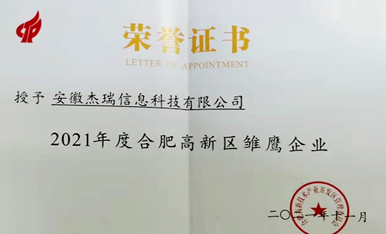 广东2021年度合肥高新区雏鹰企业